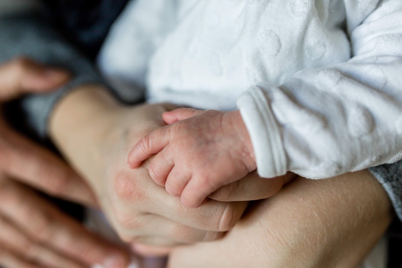 entdecken sie unvergessliche familientouren und aktivitäten, die spaß und abenteuer für groß und klein bieten. planen sie ihr nächstes familienausflug mit tipps und inspirationen für alle altersgruppen.