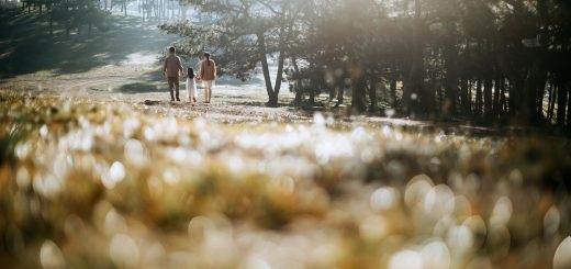 entdecken sie die besten familienausflüge für unvergessliche erlebnisse mit ihren liebsten. von spannenden abenteuern in der natur bis hin zu kulturellen entdeckungen – finden sie die perfekten aktivitäten für groß und klein!