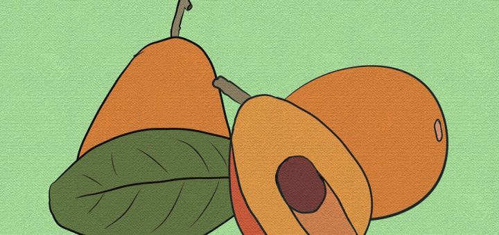 entdecken sie gesunde lebensmittel für eine ausgewogene ernährung. erfahren sie, wie sie nahrhafte zutaten in ihre mahlzeiten integrieren können, um ihren körper und geist zu stärken. von frischen obst- und gemüsesorten bis hin zu nährstoffreichen vollkornprodukten – finden sie die besten tipps für eine gesunde lebensweise.