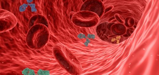 entdecken sie, wie das immunsystem funktioniert, seine bedeutung für die gesundheit und effektive möglichkeiten zur stärkung ihres immunsystems durch ernährung, bewegung und lebensstil.