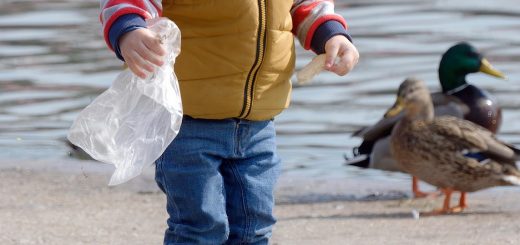entdecken sie die welt von babyhood – alles für eine liebevolle und gesunde entwicklung ihres babys. hochwertige produkte, tipps und inspiration für eltern.