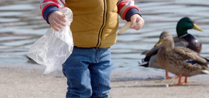 entdecken sie die welt von babyhood – alles für eine liebevolle und gesunde entwicklung ihres babys. hochwertige produkte, tipps und inspiration für eltern.