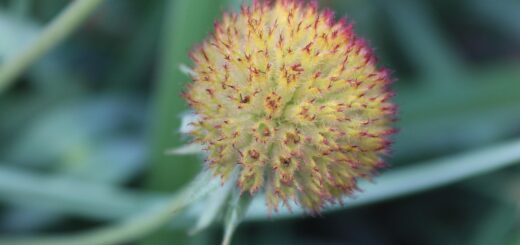 erfahren sie alles wichtige über die menopause: symptome, behandlungsmöglichkeiten und tipps für ein gesundes leben in dieser lebensphase.