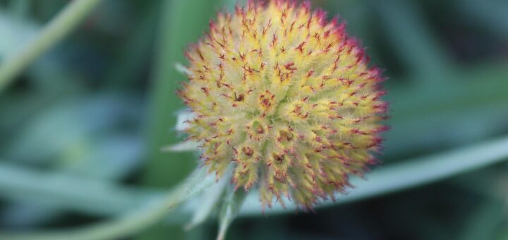 erfahren sie alles wichtige über die menopause: symptome, behandlungsmöglichkeiten und tipps für ein gesundes leben in dieser lebensphase.